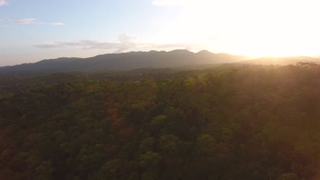 Regenwaldlandschaft-Mit-Sonnenuntergang-Per-Drohne.-Guayana-Amazonas-Park-Saul
